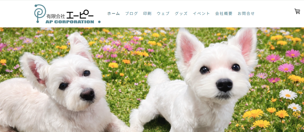 有限会社エーピー