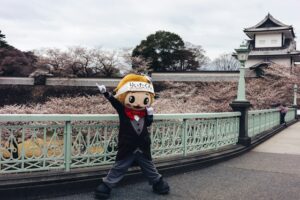 金沢のイベント会社おすすめ15選｜特徴・選び方・依頼の流れを解説【2026年版】