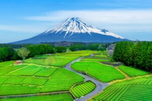【2026年】静岡のイベント会社12選！依頼ステップや費用目安を紹介